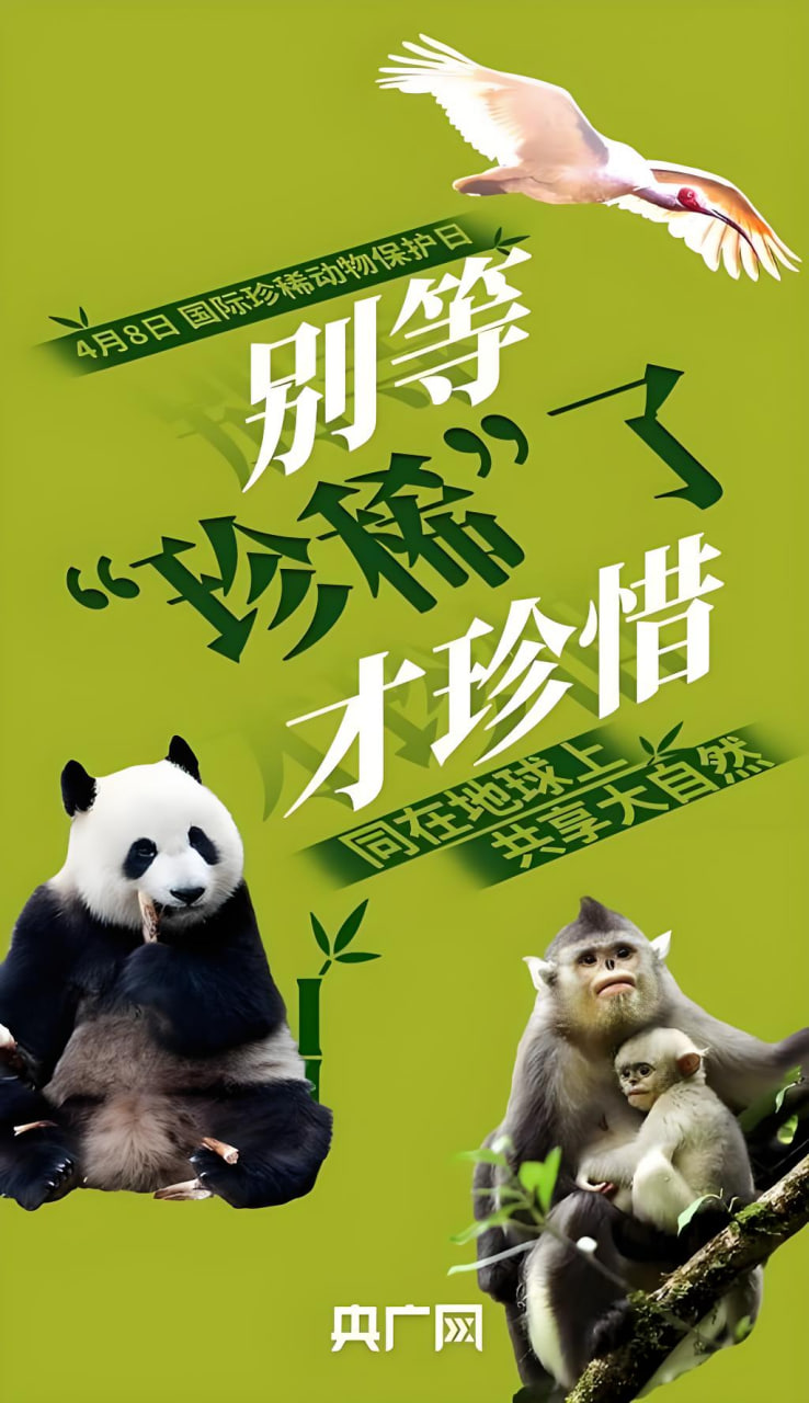 排行榜剧集7
